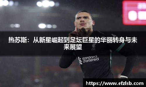 jn江南·体育登录入口